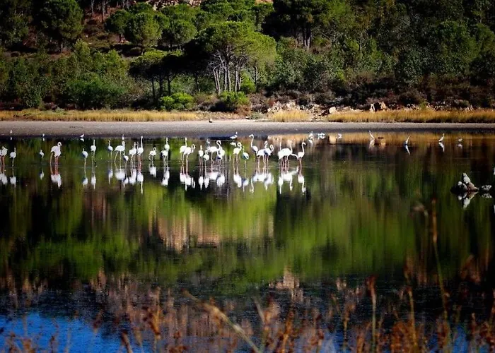 Sciabecco شقة فندقية